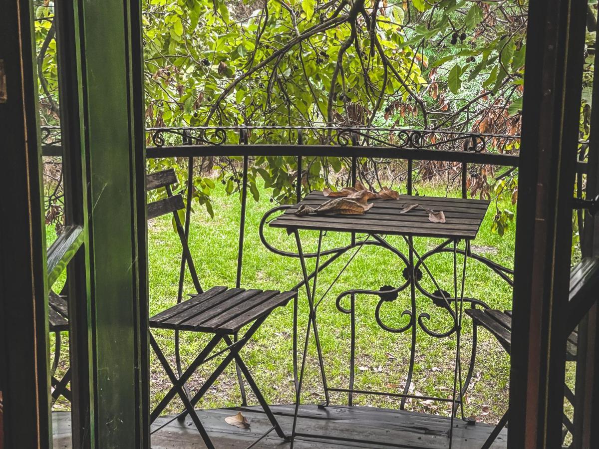 Wood Mood Apartman Tiganjica Stajicevo 外观 照片