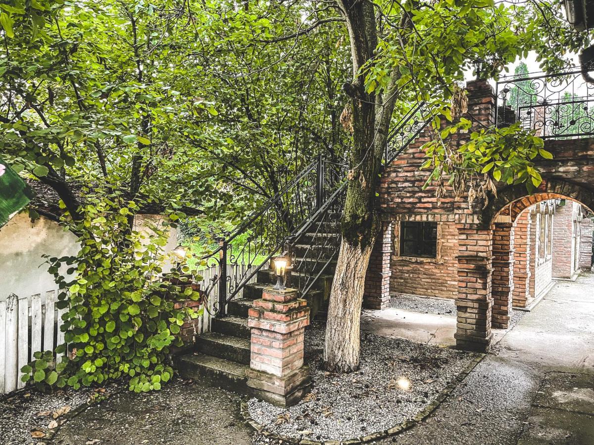 Wood Mood Apartman Tiganjica Stajicevo 外观 照片