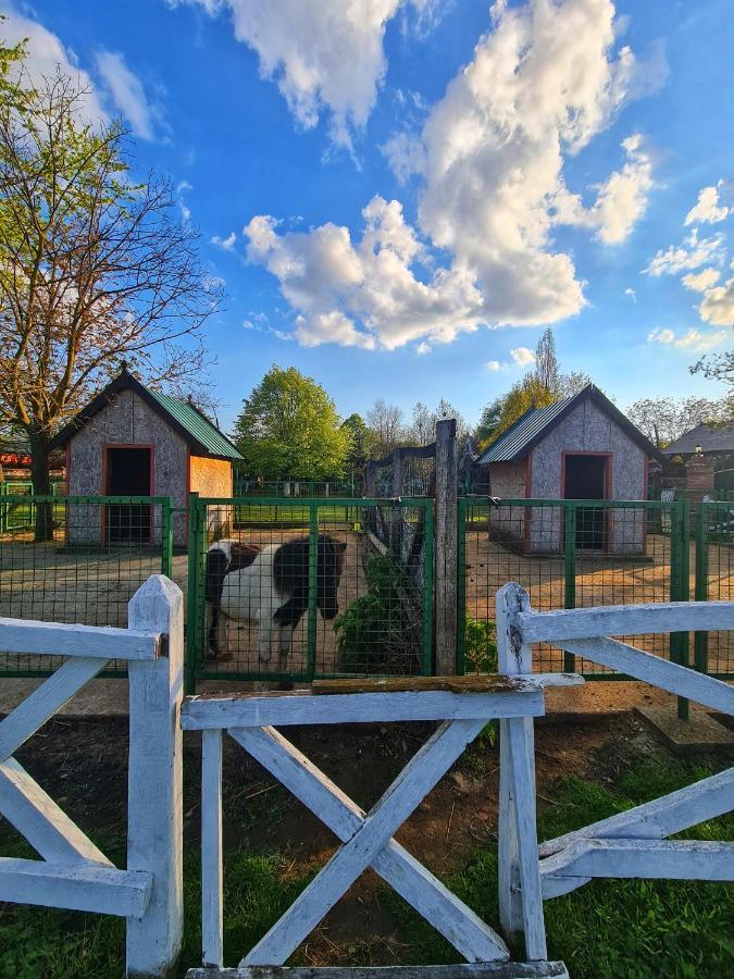 Wood Mood Apartman Tiganjica Stajicevo 外观 照片