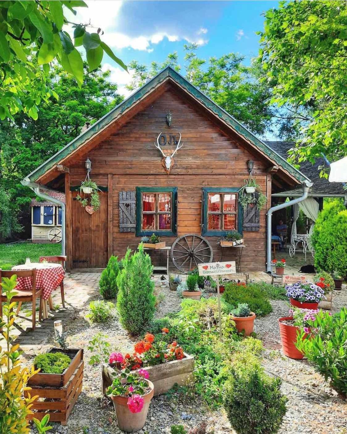 Wood Mood Apartman Tiganjica Stajicevo 外观 照片